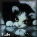 Jude Cat